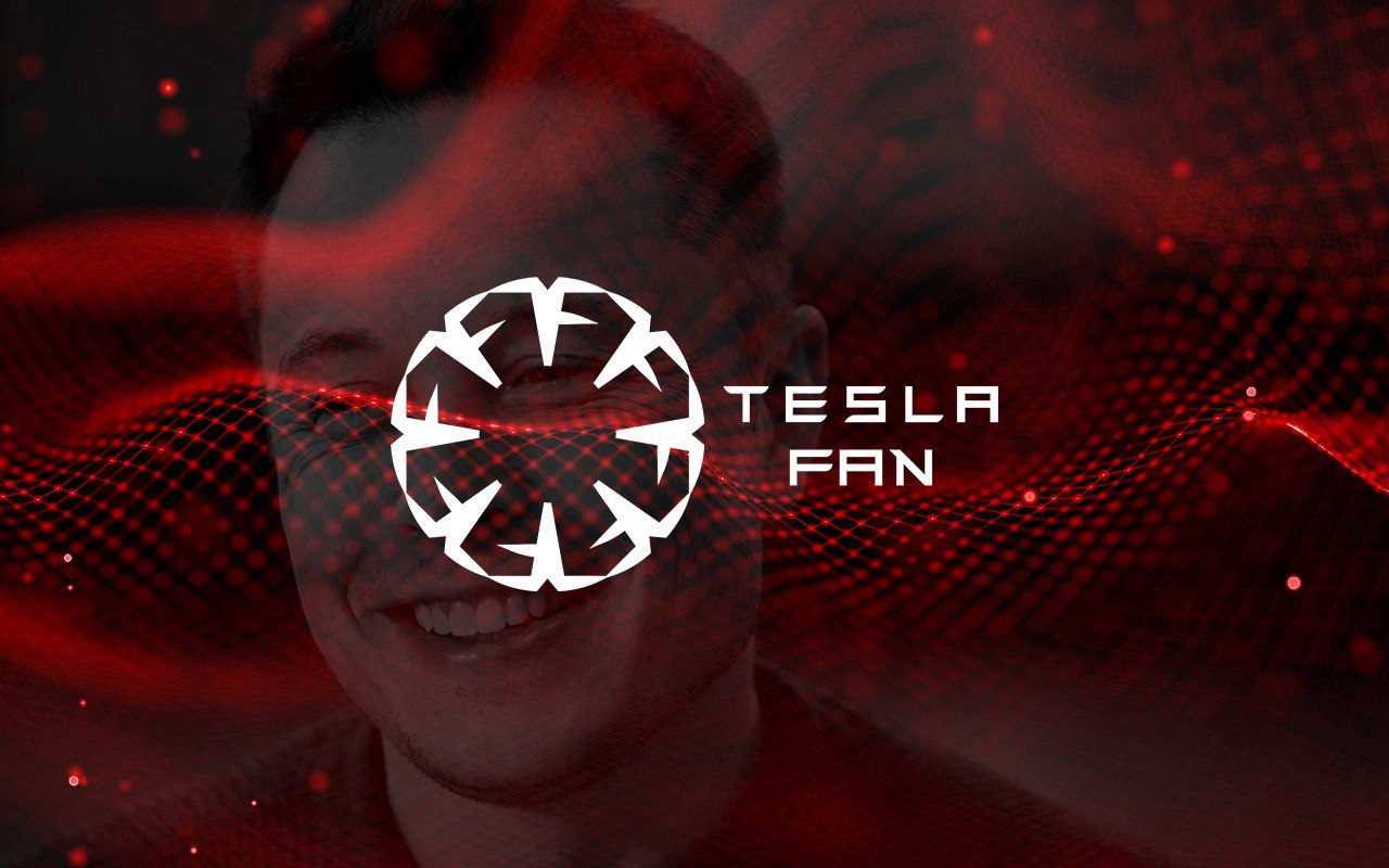 teslafan crypto price