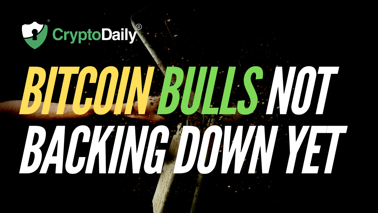 Bitcoin Bulls Not Backing Down Yet