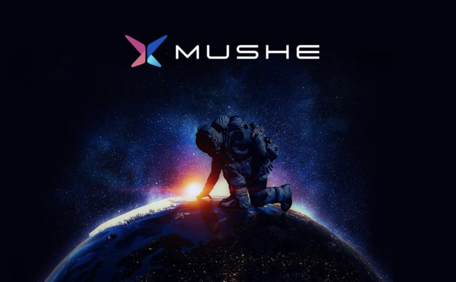 Can Mushe (XMU) compete with the amazing successes of Dogecoin (DOGE) and Polkadot (DOT)?