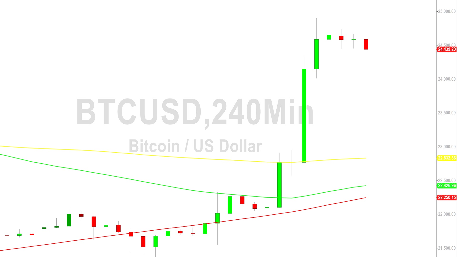 Bitcoin Price Analysis:  Stampede to 24903 - 17 February 2023