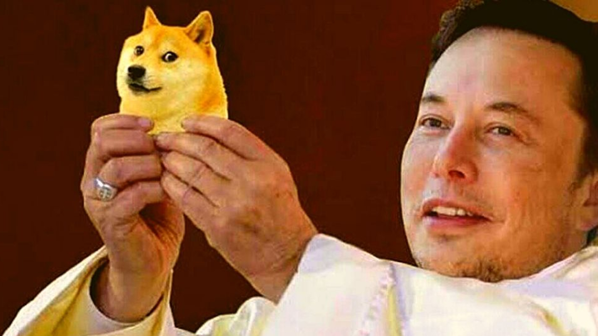 Elon Musk Files Request To Dismiss $258b $DOGE Lawsuit - Crypto Daily