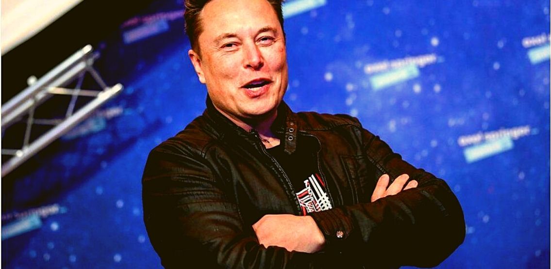 which crypto wallet does elon musk use