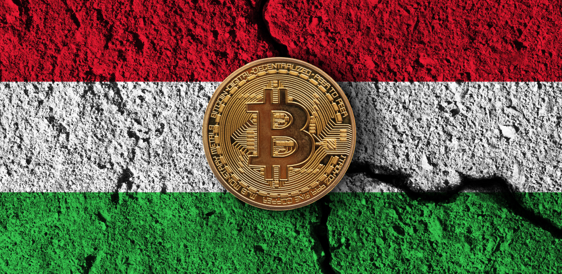 Hungarian central bank governor next in line to ban crypto
