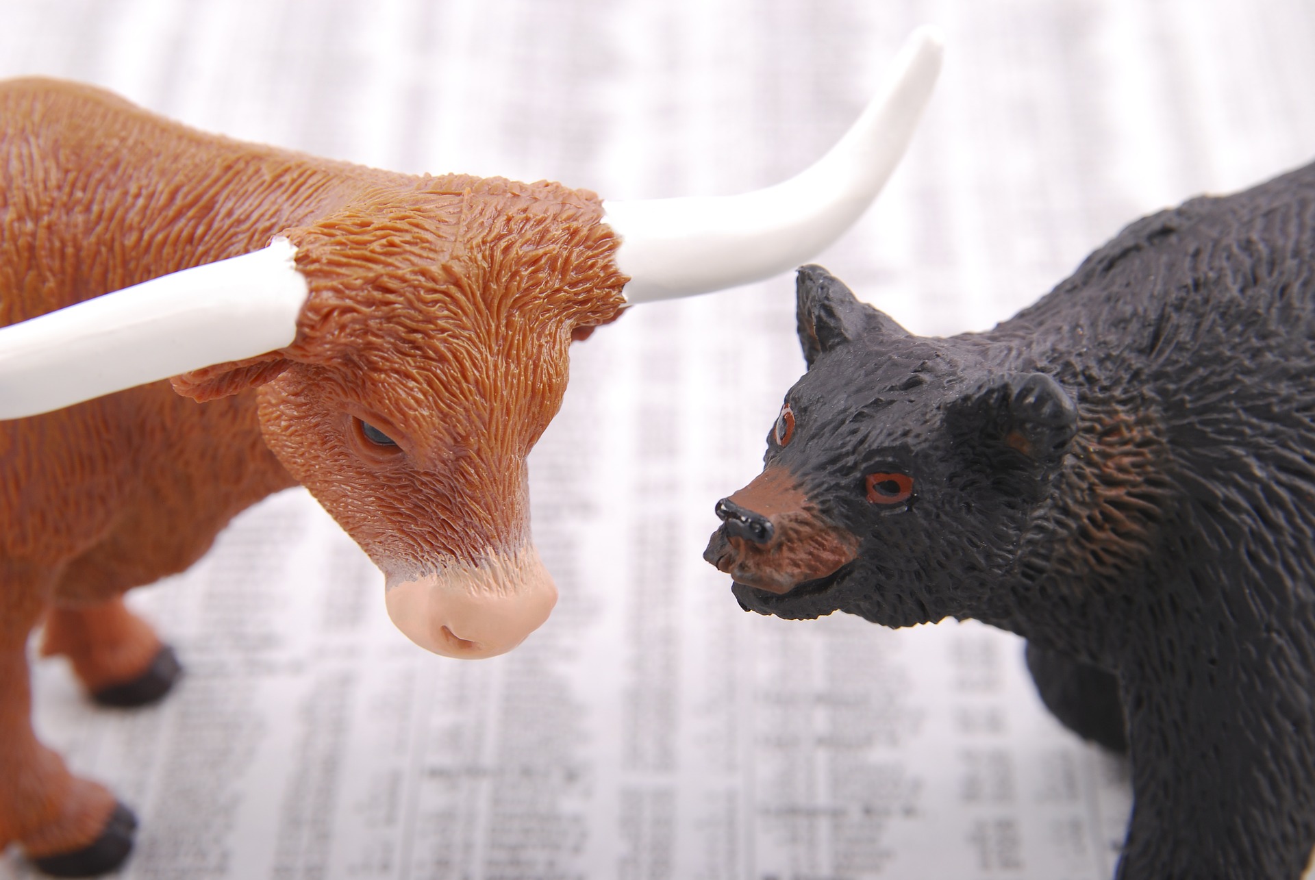 Can Mehracki Token (MKI) Revive the Bull Market Like Dogecoin (DOGE) Did?