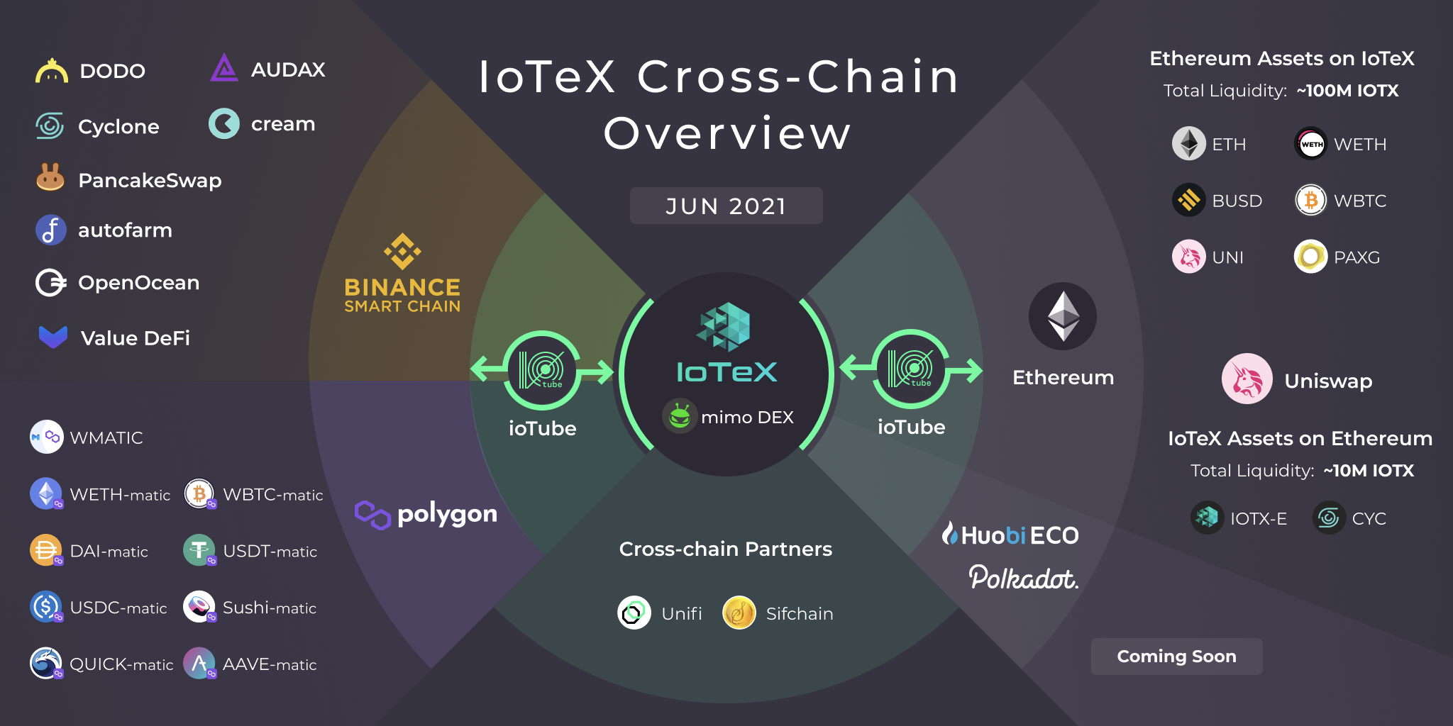 Cross support. Экосистема Polygon. Экосистема Polygon matic. IOTX криптовалюта. Polygon matic криптовалюта.