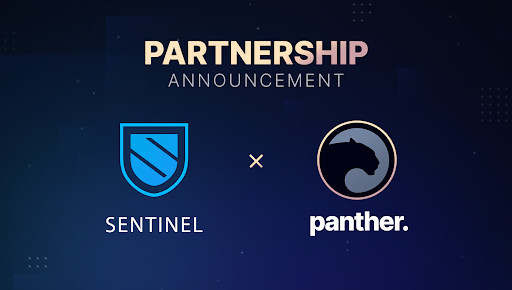 Panther Protocol Teams Up with decentralized Virtual Private Network or VPN ecosystem Sentinel