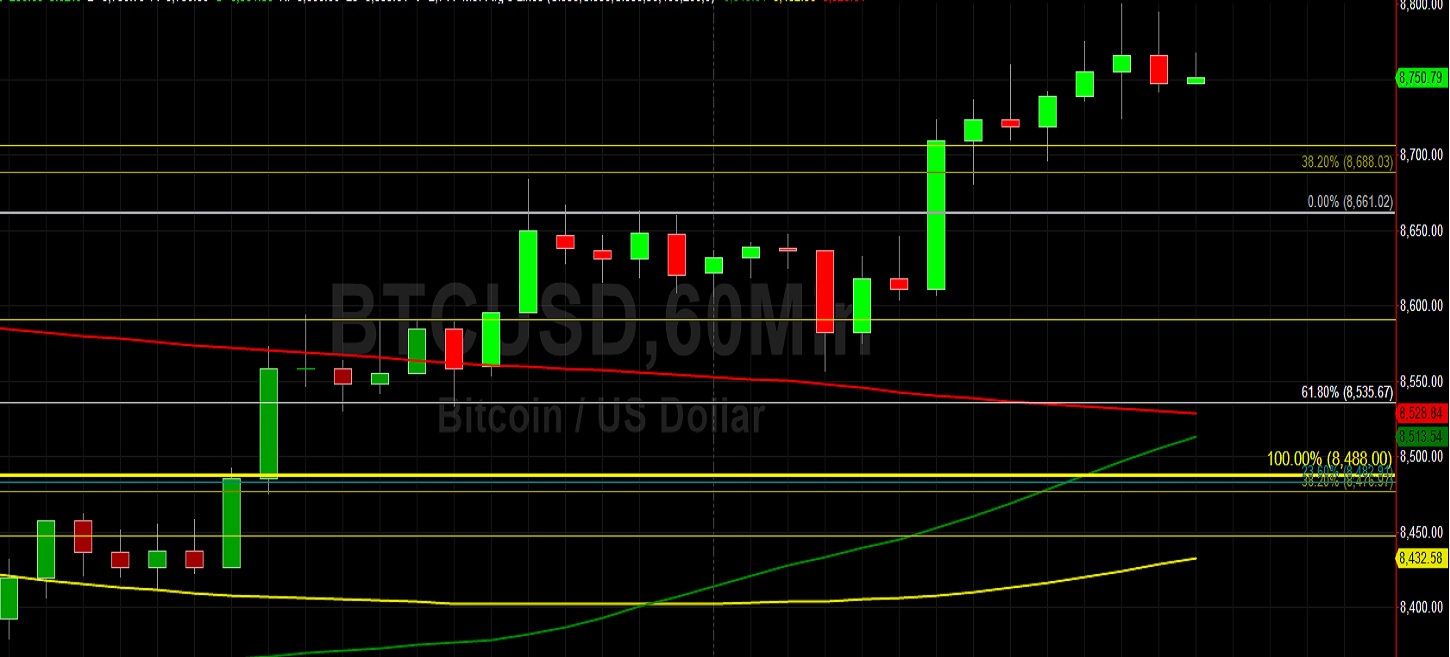Sally Ho's Technical Analysis 28 January 2020 BTC ETH