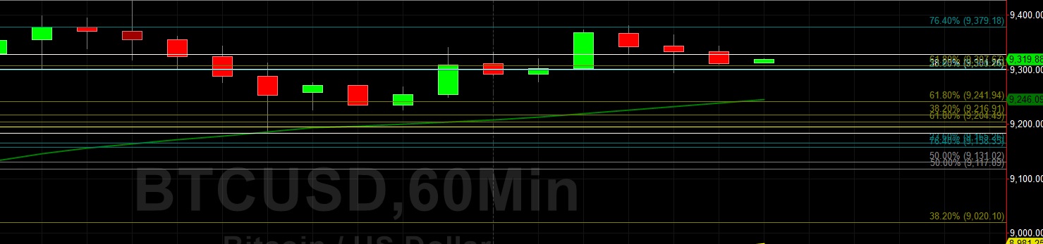 Sally Ho's Technical Analysis 31 January 2020 BTC ETH