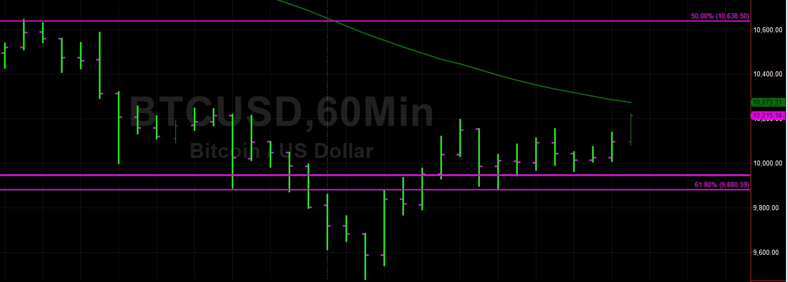 Sally Ho's Technical Analysis 16 August 2019