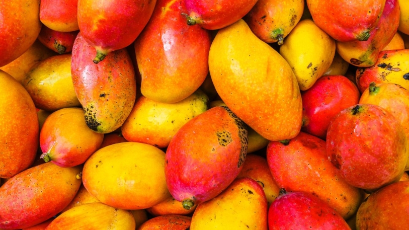 Mango Markets Exploiter Arrested For Fraud