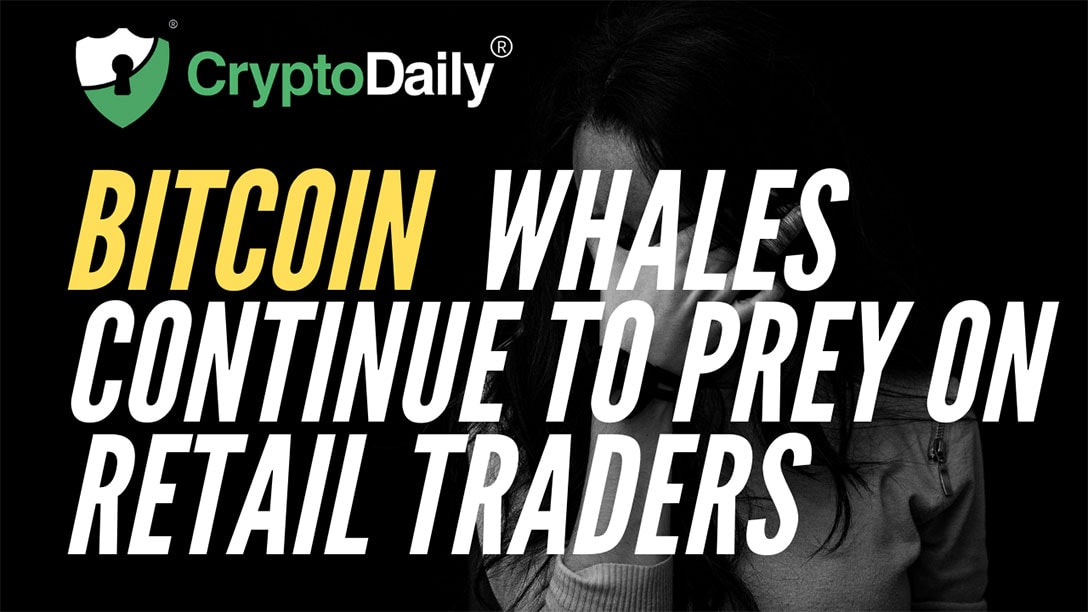Bitcoin (BTC) Whales Continue To Prey On Retail Traders