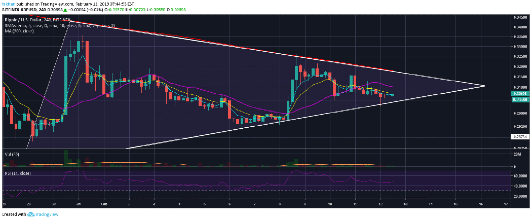 A Ripple Price Forecast For 2019