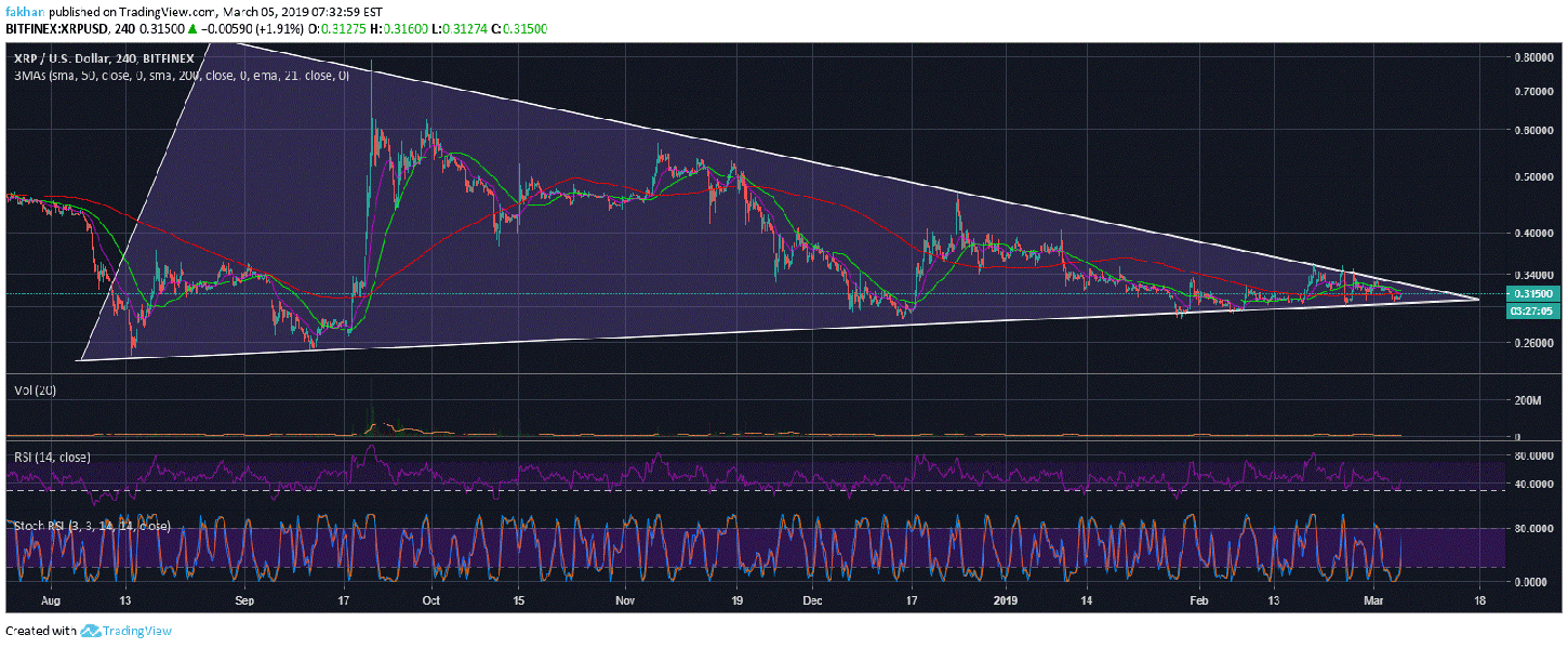 Ripple (XRP) Likely To Trigger The Final Bull Run Before The Next  Correction - Crypto Daily