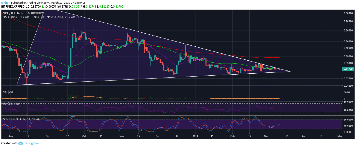 Ripple (XRP) Stays Strong Above 50 Day MA, Price Due For A Major Breakout