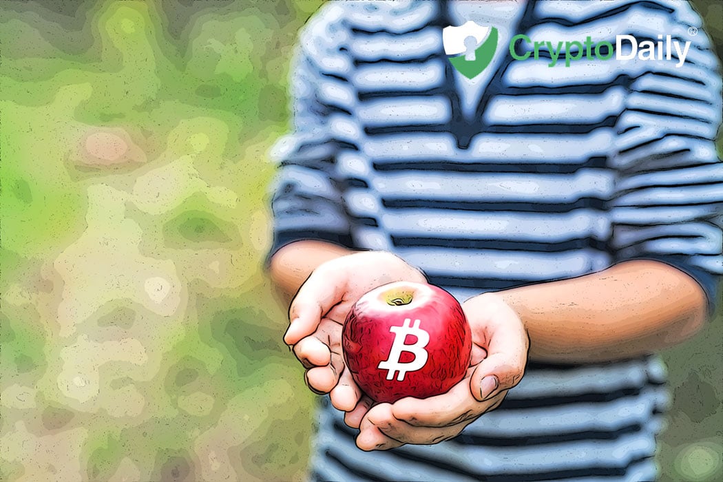 Help This Bitcoin Baby Go To College