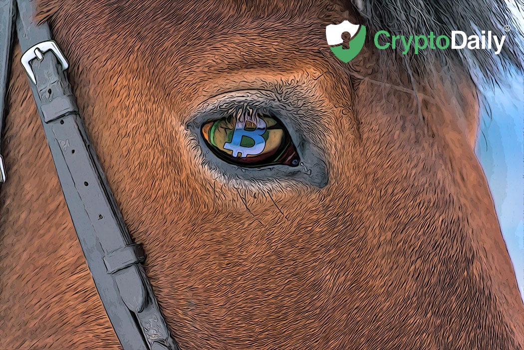 Winklevoss Twins Believe Bitcoin Bull Run Is Around The Corner