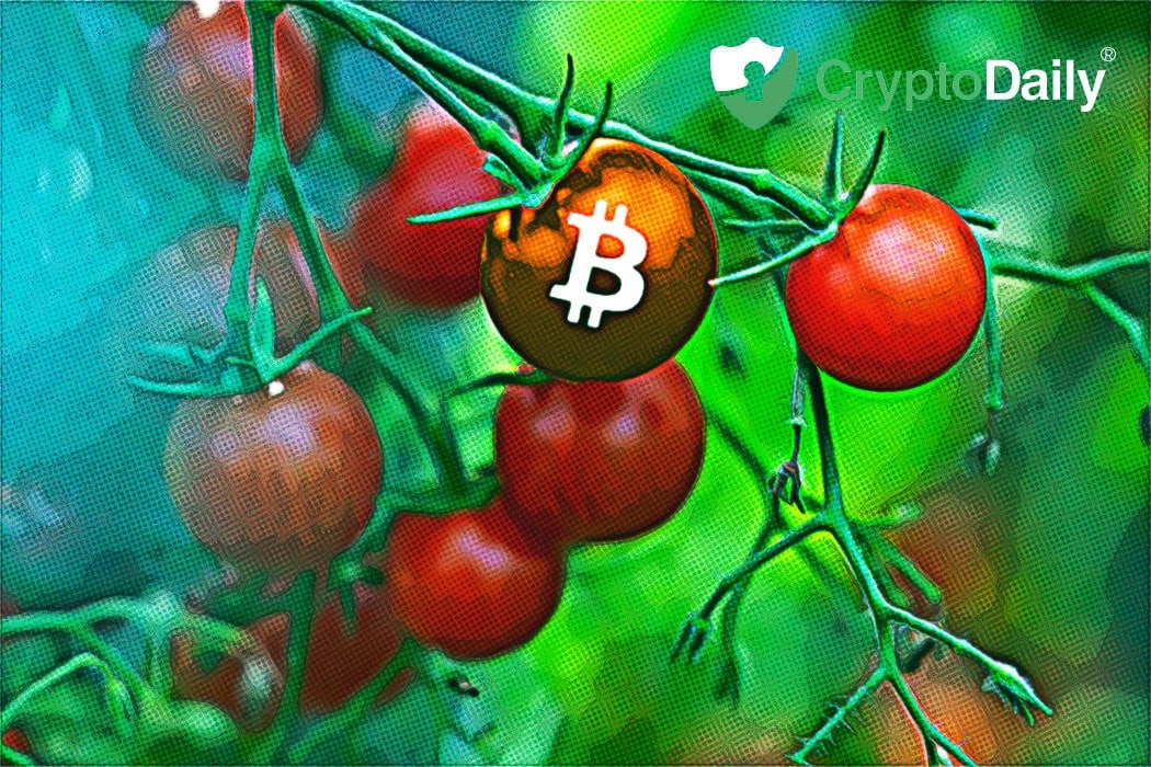 Bitcoin Transactions Carries 6X More Than PayPal