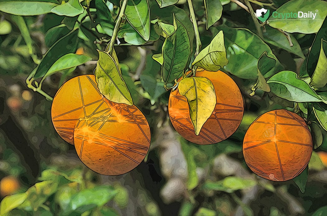 3,000 Orange Cartons Tracked Via Blockchain By IBM