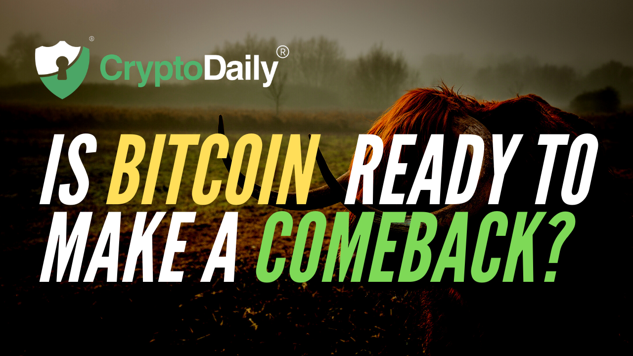 Is Bitcoin (BTC) Ready To Make A Comeback?