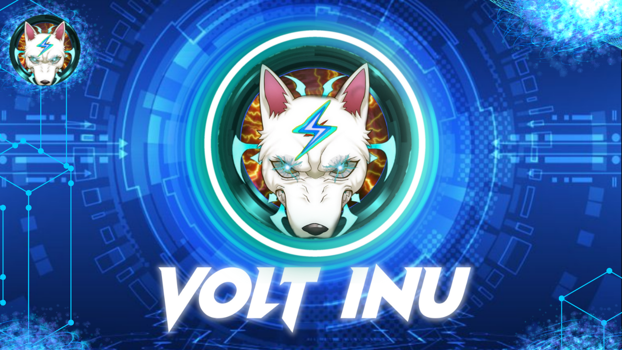 Volt Inu Explained How Everyone in the Crypto Universe Is "Volting"