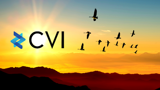 CVI Platform Migrating From USDT to USDC, Here’s Why