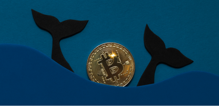 Bitcoin whales accumulated $726m in BTC over past 9 days